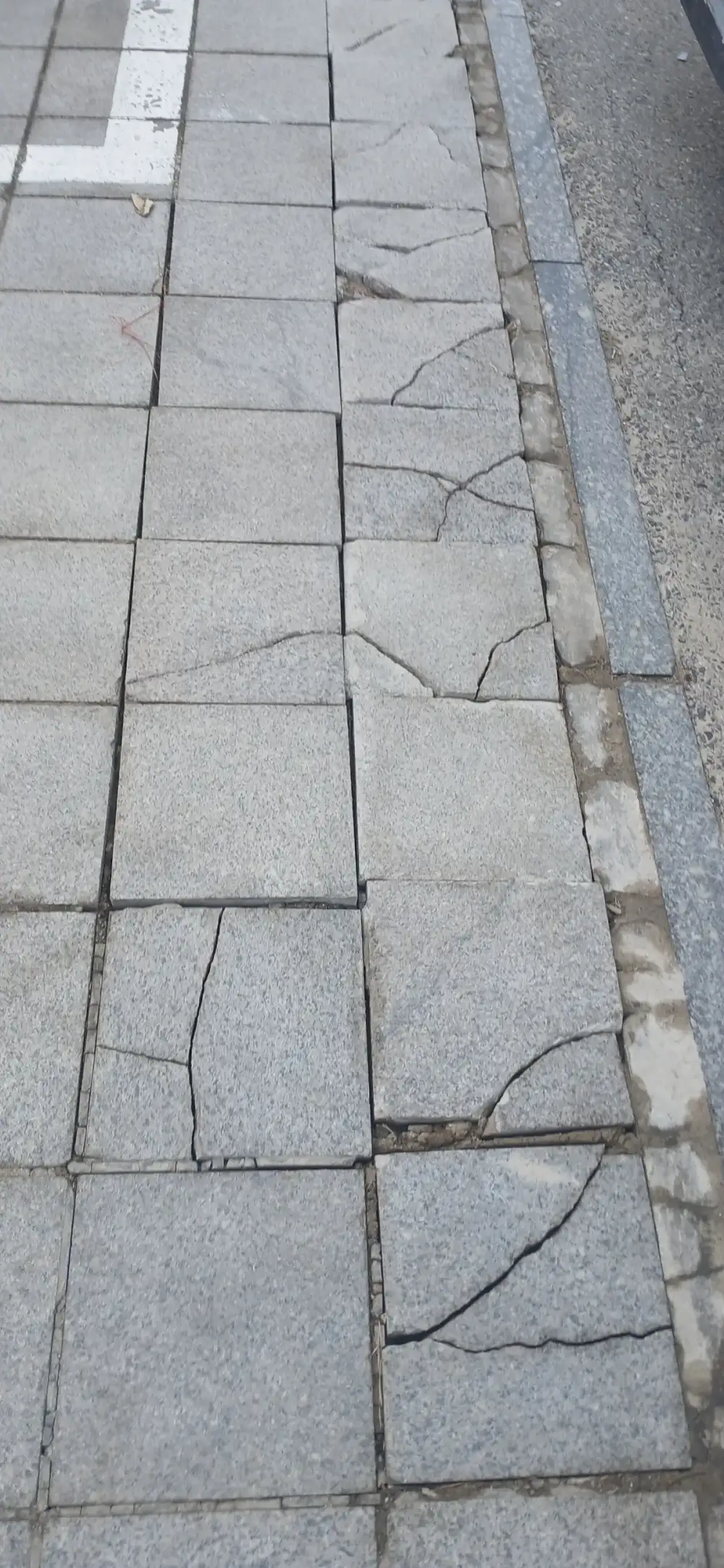 보행로 화강석 줄눈·면 재시공 시공 전 현장